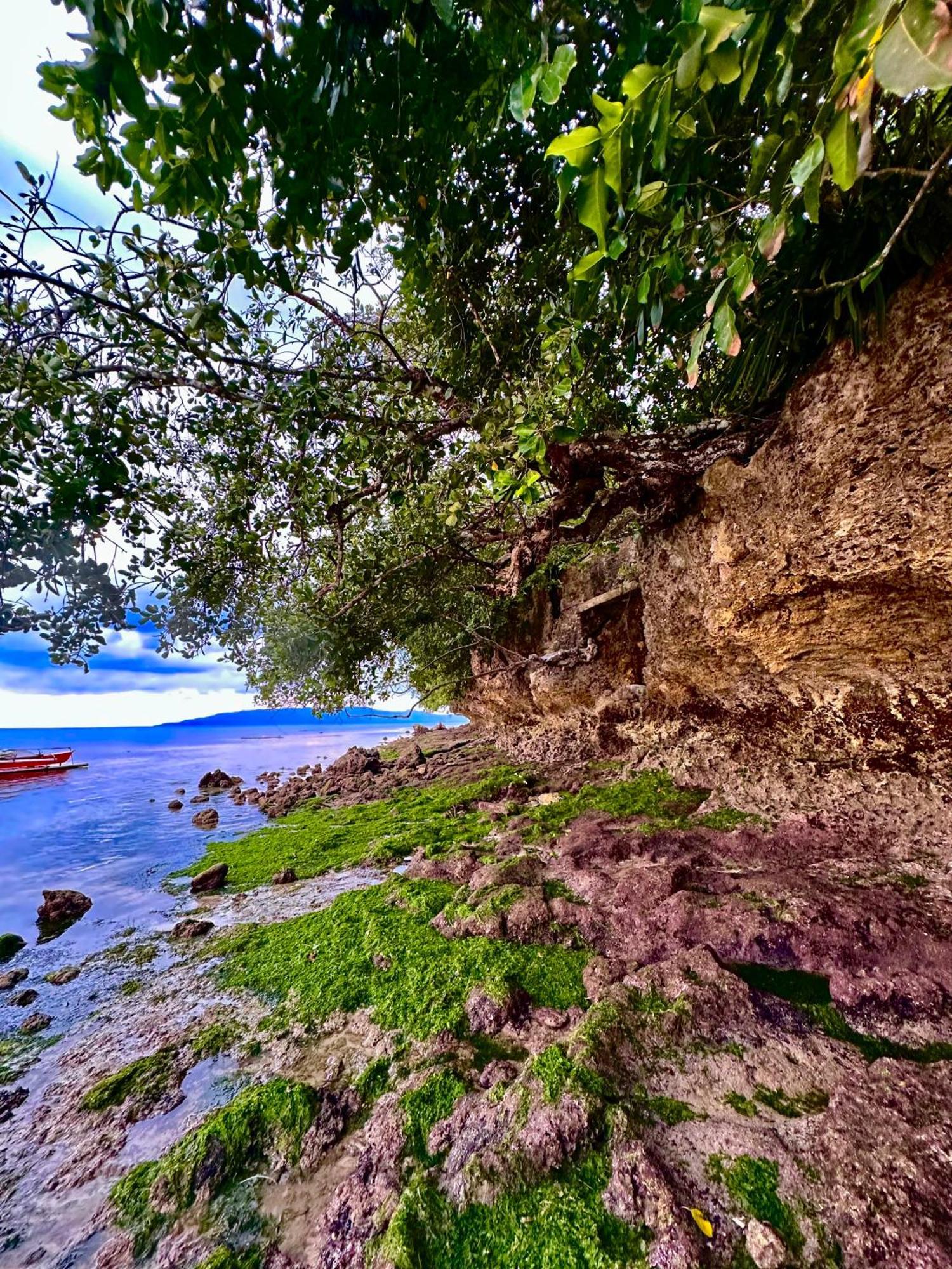 Sapphire Boutique Resort Panglao Eksteriør billede
